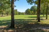 Coronado-Golf-Course-Hot-Springs-Village-Fall-2021-3